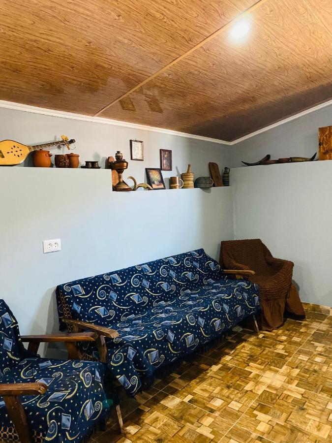 Mamuka'S Guesthouse Udabno Buitenkant foto