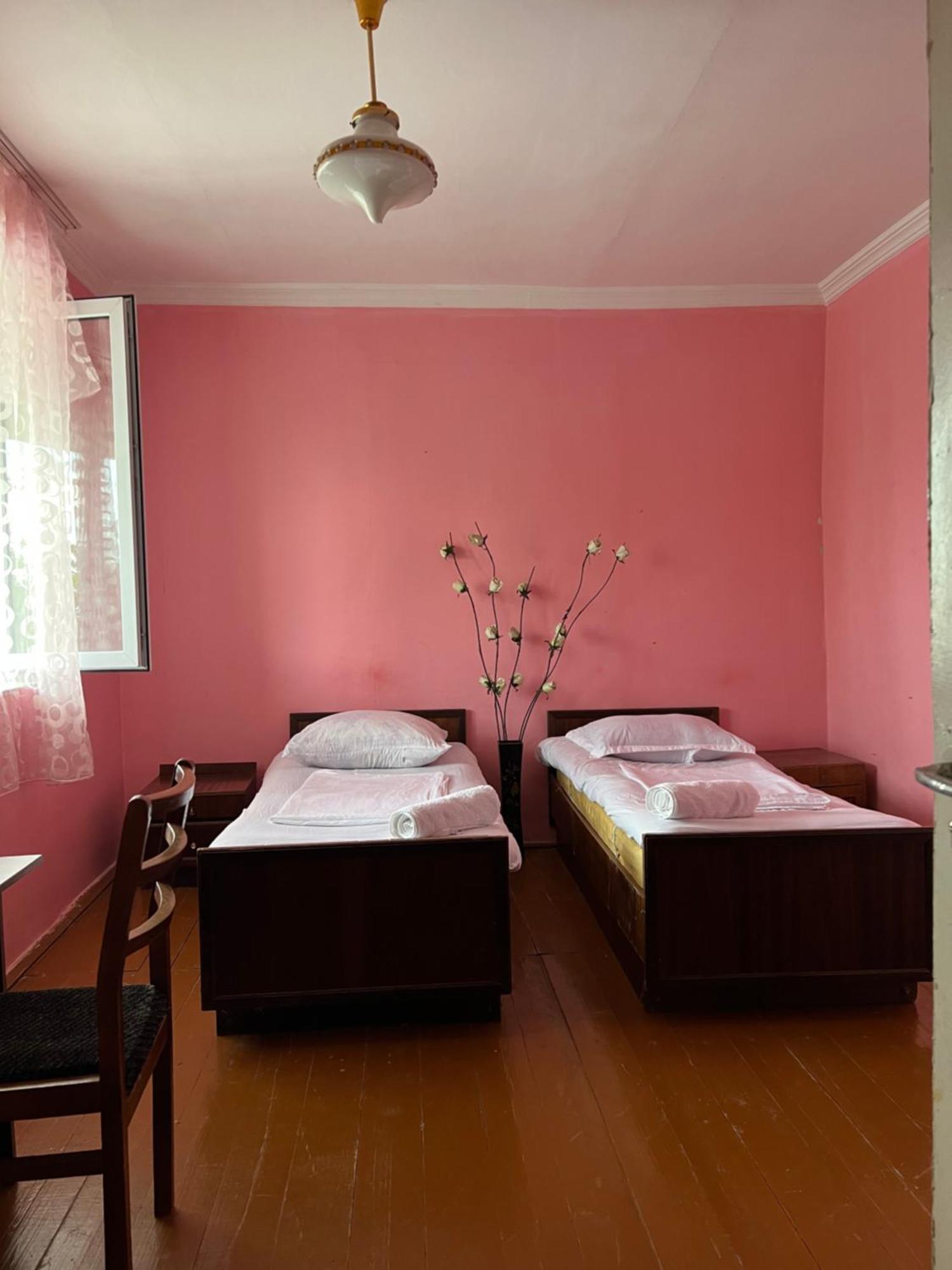 Mamuka'S Guesthouse Udabno Buitenkant foto