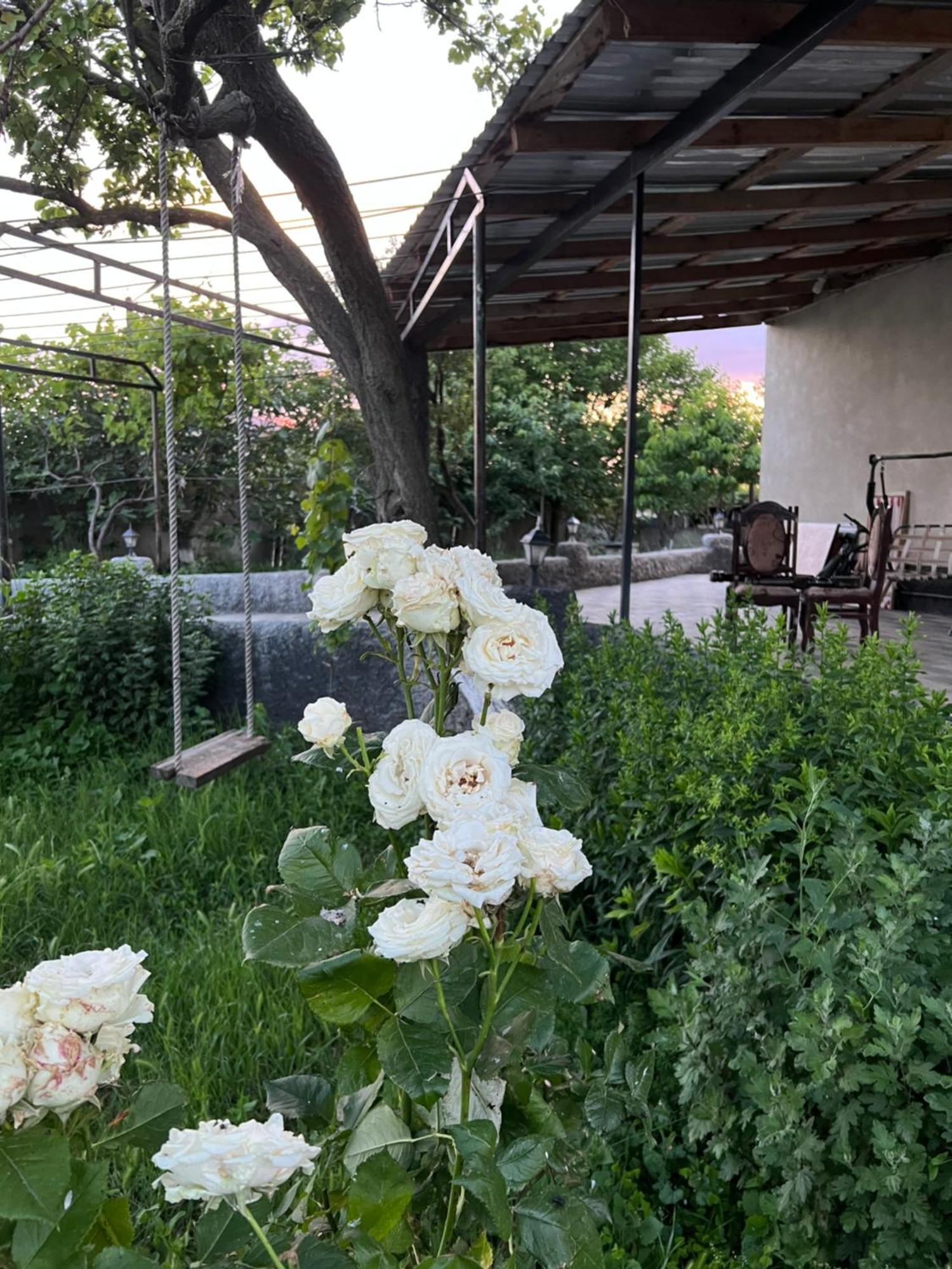 Mamuka'S Guesthouse Udabno Buitenkant foto
